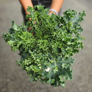 Curly Kale (200g)